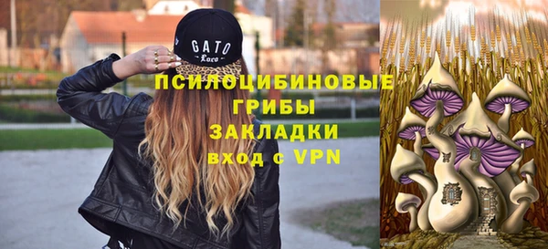 молекула духа Абинск