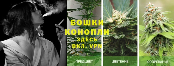 мяу мяу мука Остров