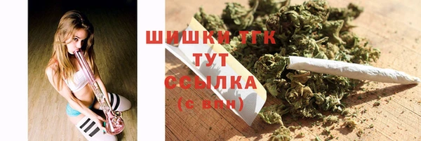 амф Осташков